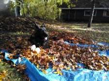 IMG_20251107_090008.jpg"